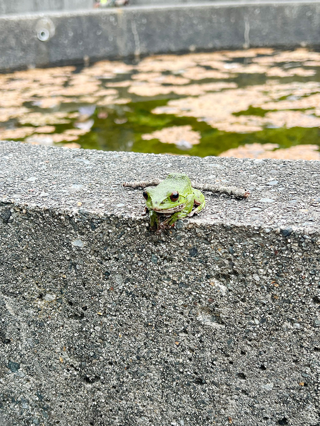 フィールドワーク①